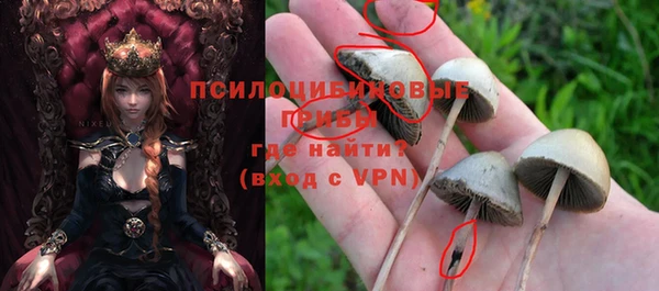 прущие крисы Алзамай