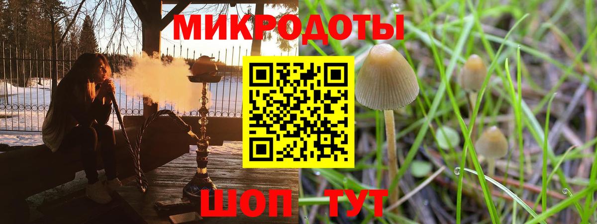 Псилоцибиновые грибы мицелий Старый Оскол