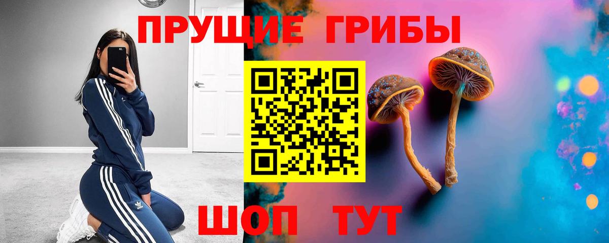 Старый Оскол  Галлюциногенные грибы GOLDEN TEACHER  Вход с VPN  Псилоцибиновые грибы Psilocybine cubensis 